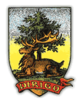 Dirigo Games - logo