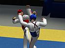 Tae Kwon Do World Champion - screenshot #24