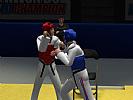 Tae Kwon Do World Champion - screenshot #21