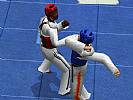 Tae Kwon Do World Champion - screenshot #16