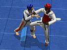 Tae Kwon Do World Champion - screenshot #15