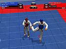 Tae Kwon Do World Champion - screenshot #13