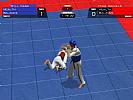 Tae Kwon Do World Champion - screenshot #11