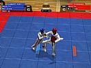 Tae Kwon Do World Champion - screenshot #6