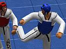 Tae Kwon Do World Champion - screenshot #5