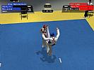 Tae Kwon Do World Champion - screenshot #3