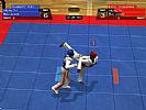 Tae Kwon Do World Champion - screenshot #2