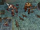 Neverwinter Nights: Shadows of Undrentide - screenshot #23