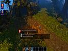 Divinity: Original Sin - screenshot #32