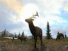 Cabela's Big Game Hunter: Pro Hunts - screenshot #18