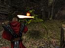 Gothic 2: Night Of The Raven - screenshot #13