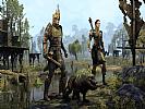 The Elder Scrolls Online: Blackwood - screenshot #6