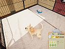 Animal Shelter - Puppies & Kittens - screenshot #12