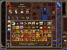 Heroes of Might & Magic 3.5: In the Wake of Gods - screenshot #17