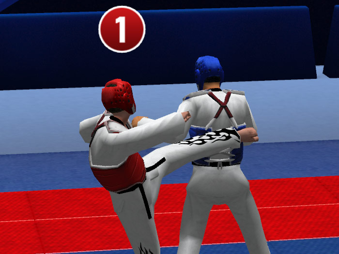 Tae Kwon Do World Champion - screenshot 10