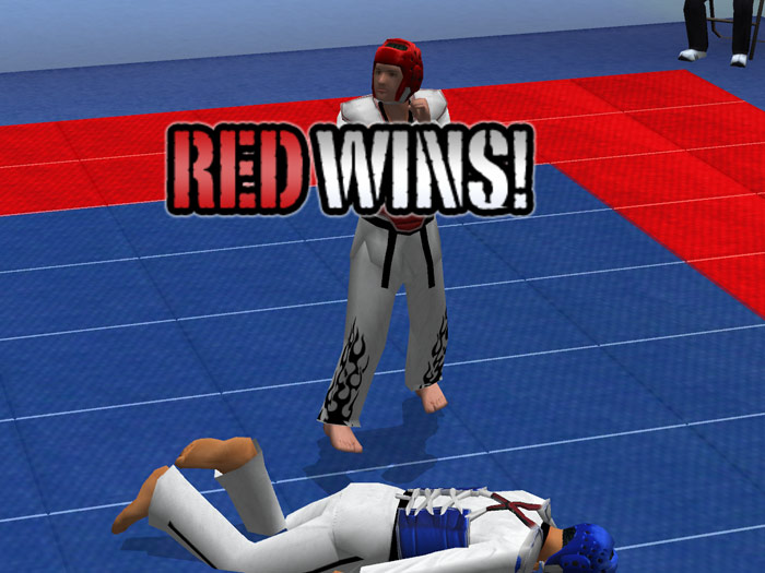 Tae Kwon Do World Champion - screenshot 8