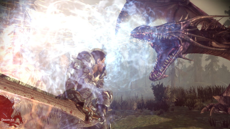 Dragon Age: Origins - screenshot 67