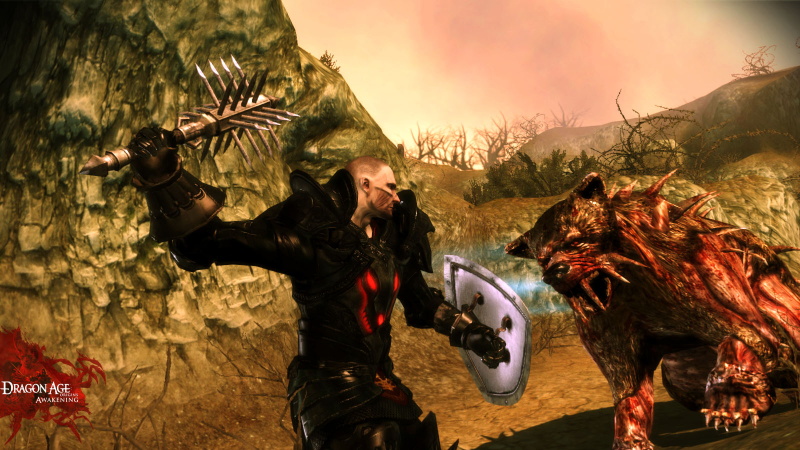 Dragon Age: Origins - Awakening - screenshot 49