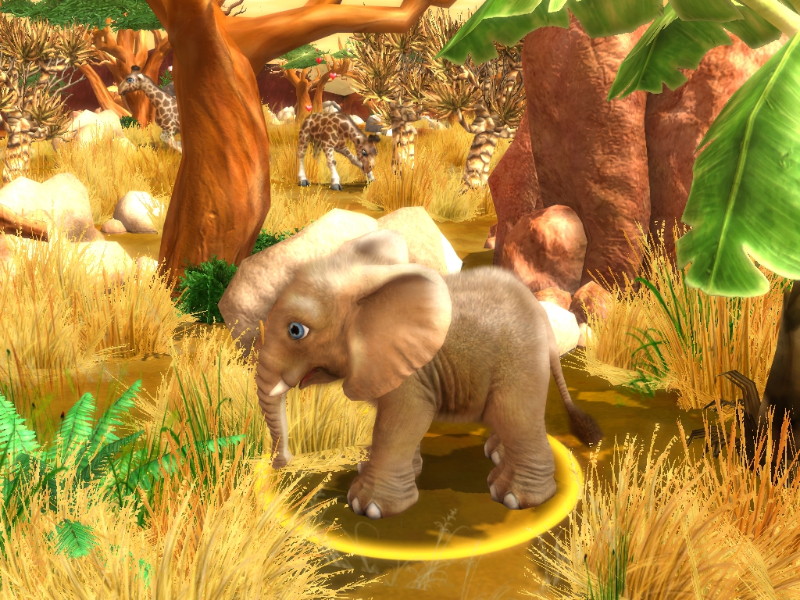 Wildlife Camp: In the Heart of Africa - screenshot 54