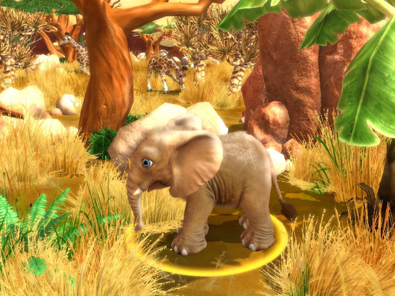 Wildlife Camp: In the Heart of Africa - screenshot 49