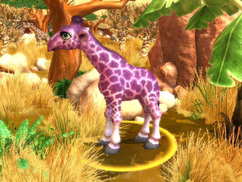 Wildlife Camp: In the Heart of Africa - screenshot 44