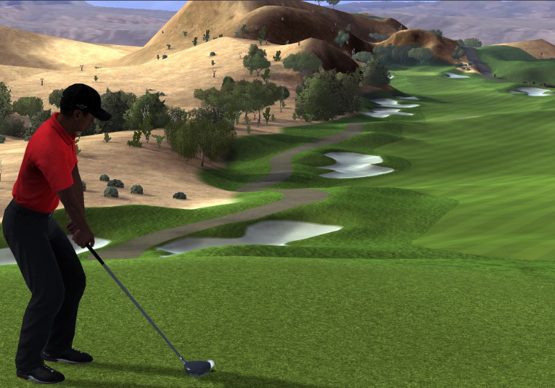 Tiger Woods PGA Tour Online - screenshot 2