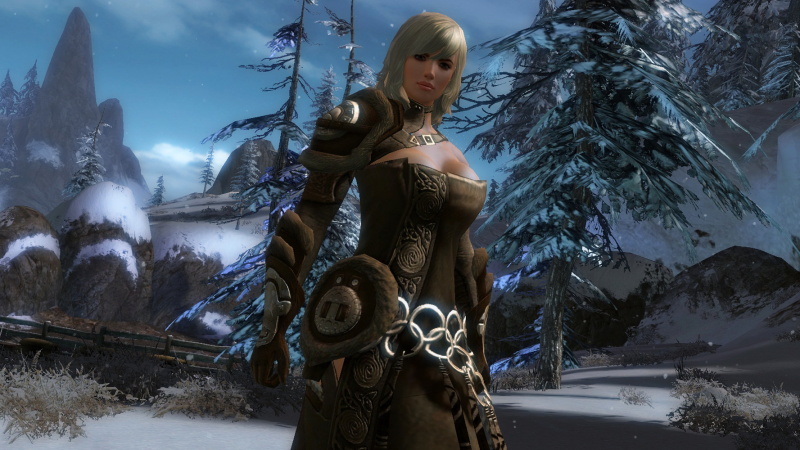 Guild Wars 2 - screenshot 10