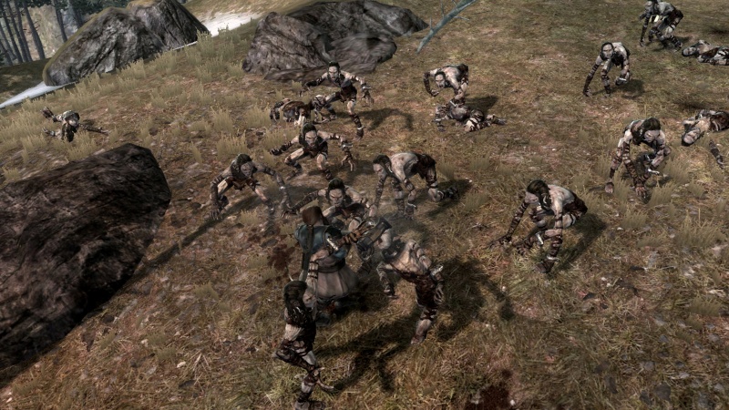 The Lord of the Rings: War in the North - screenshot 23