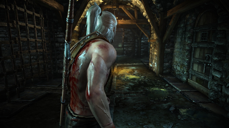 The Witcher 2: Assassins of Kings - screenshot 42