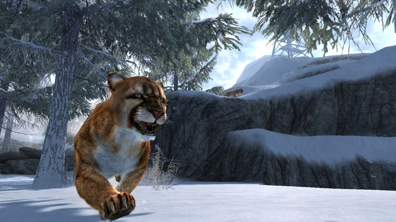 Cabela's Dangerous Hunts 2013 - screenshot 3