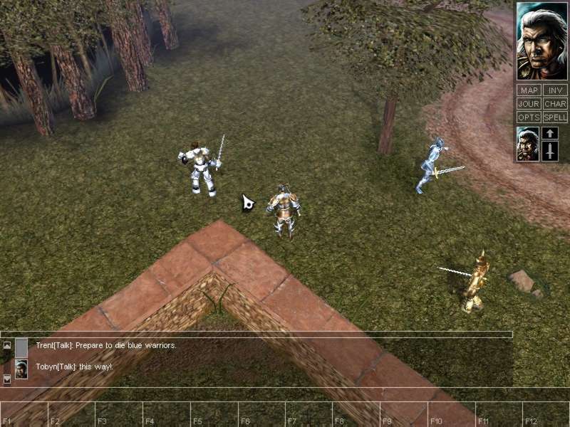 Neverwinter Nights - screenshot 46