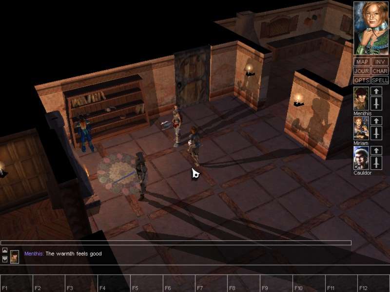 Neverwinter Nights - screenshot 44