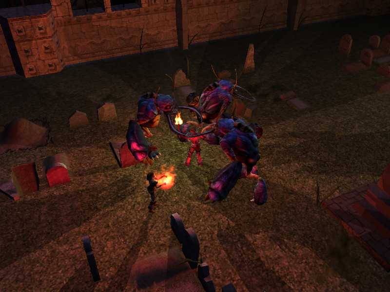 Neverwinter Nights - screenshot 2