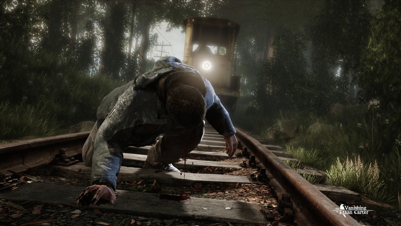 The Vanishing of Ethan Carter - screenshot 4