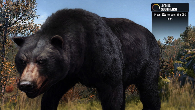 Cabela's Big Game Hunter: Pro Hunts - screenshot 12