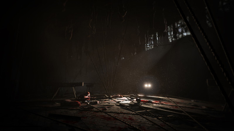 Outlast: Whistleblower - screenshot 5