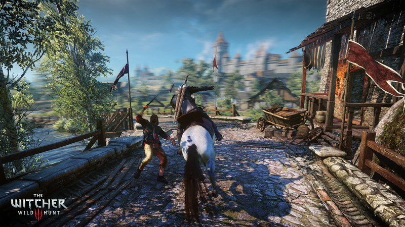 The Witcher 3: Wild Hunt - screenshot 30