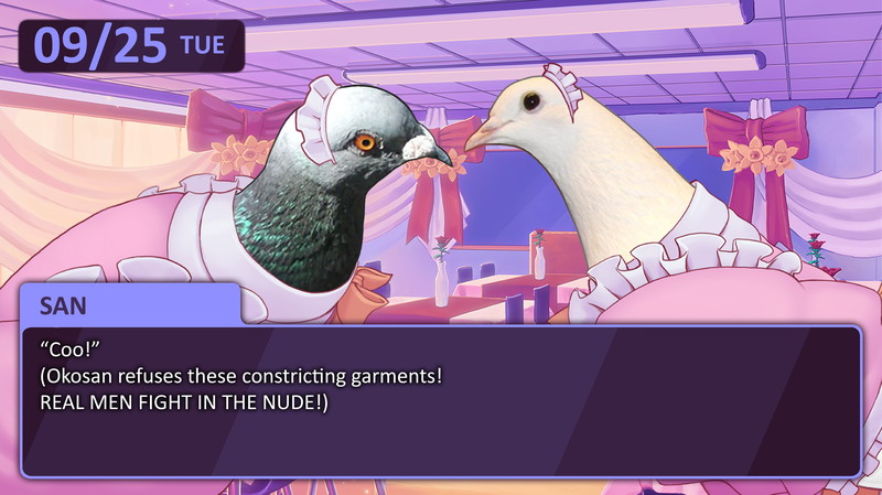 Hatoful Boyfriend - screenshot 13