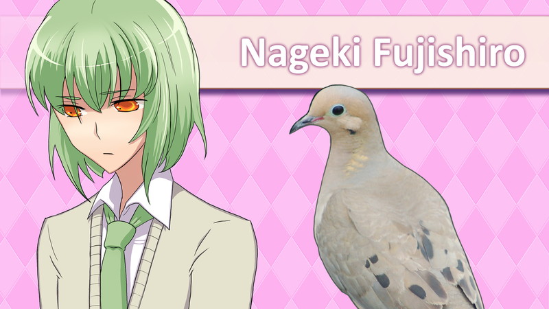 Hatoful Boyfriend - screenshot 10