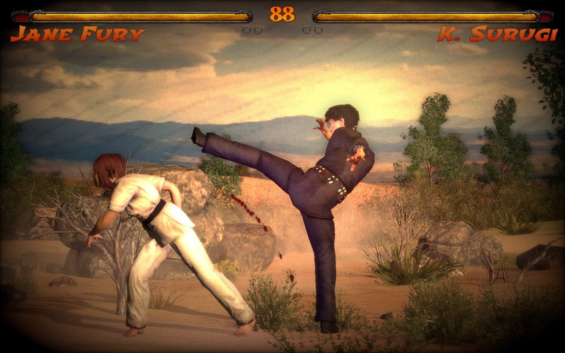 Kings of Kung Fu: Masters of the Art - screenshot 18