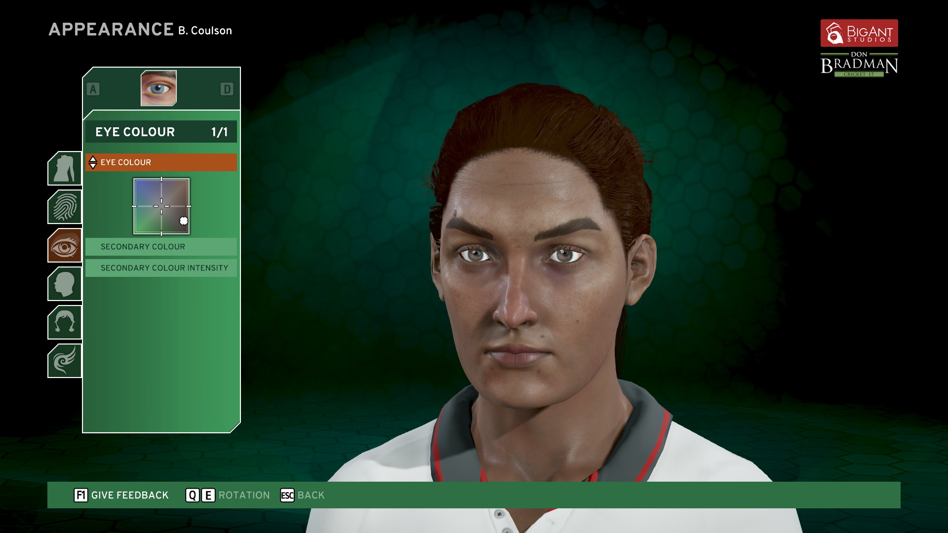 Don Bradman Cricket 17 - screenshot 9