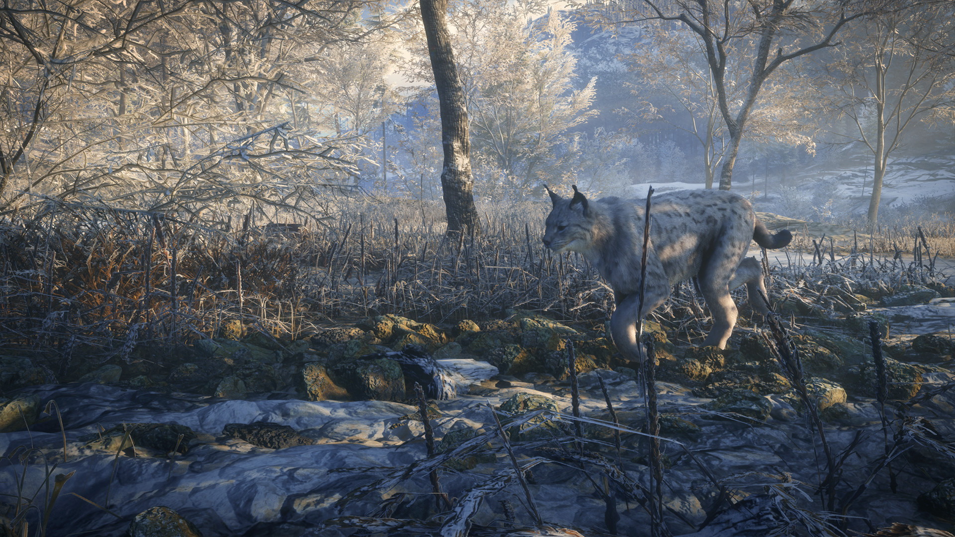 theHunter: Call of the Wild - 2019 Edition - screenshot 14