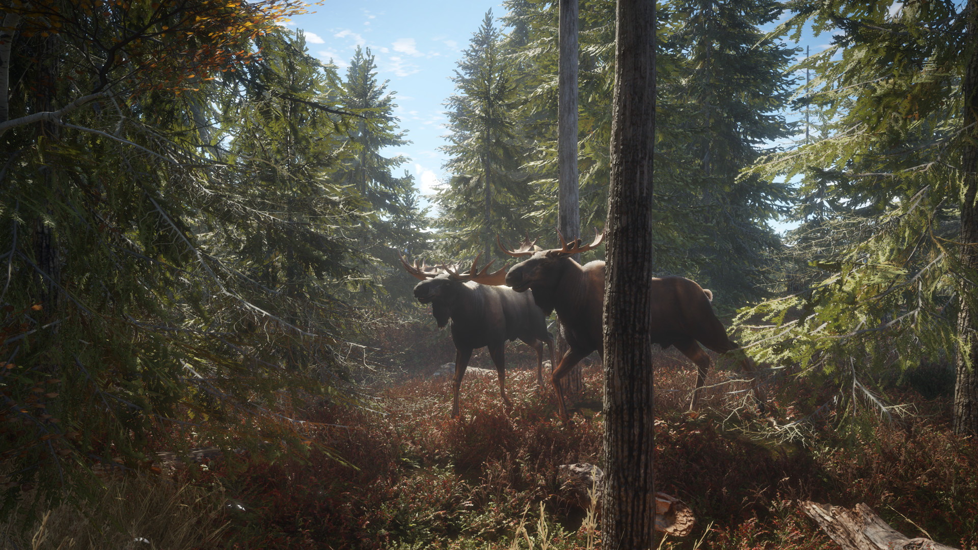 theHunter: Call of the Wild - 2019 Edition - screenshot 7