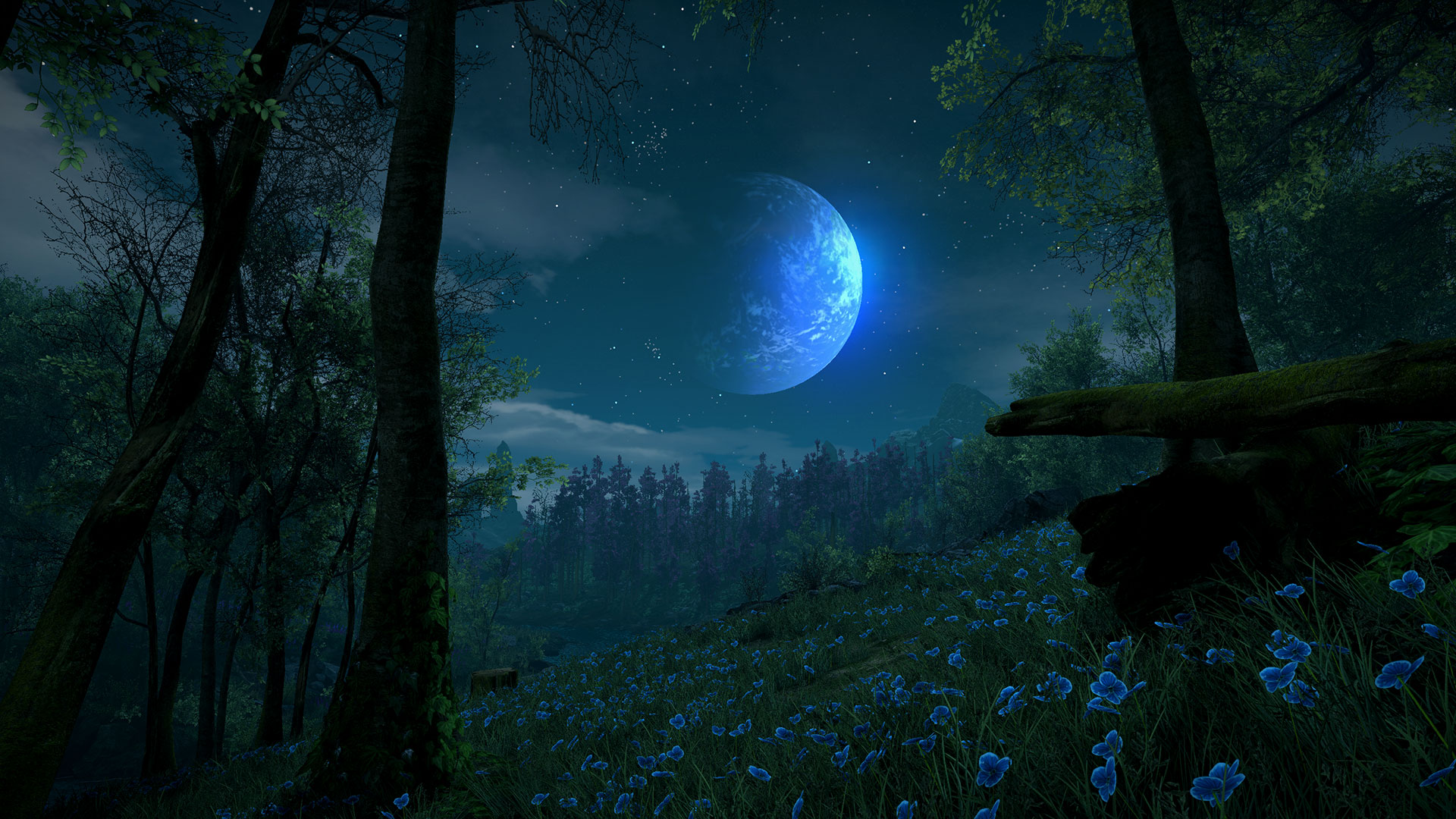 Eastshade - screenshot 12