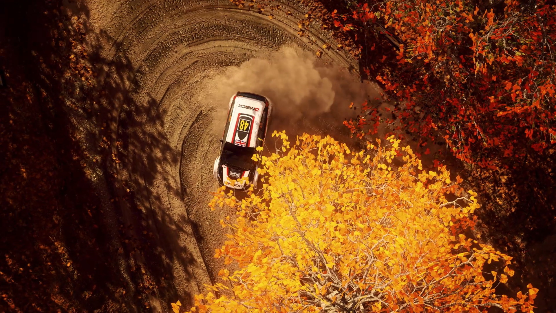 Dirt Rally 2.0 - screenshot 20