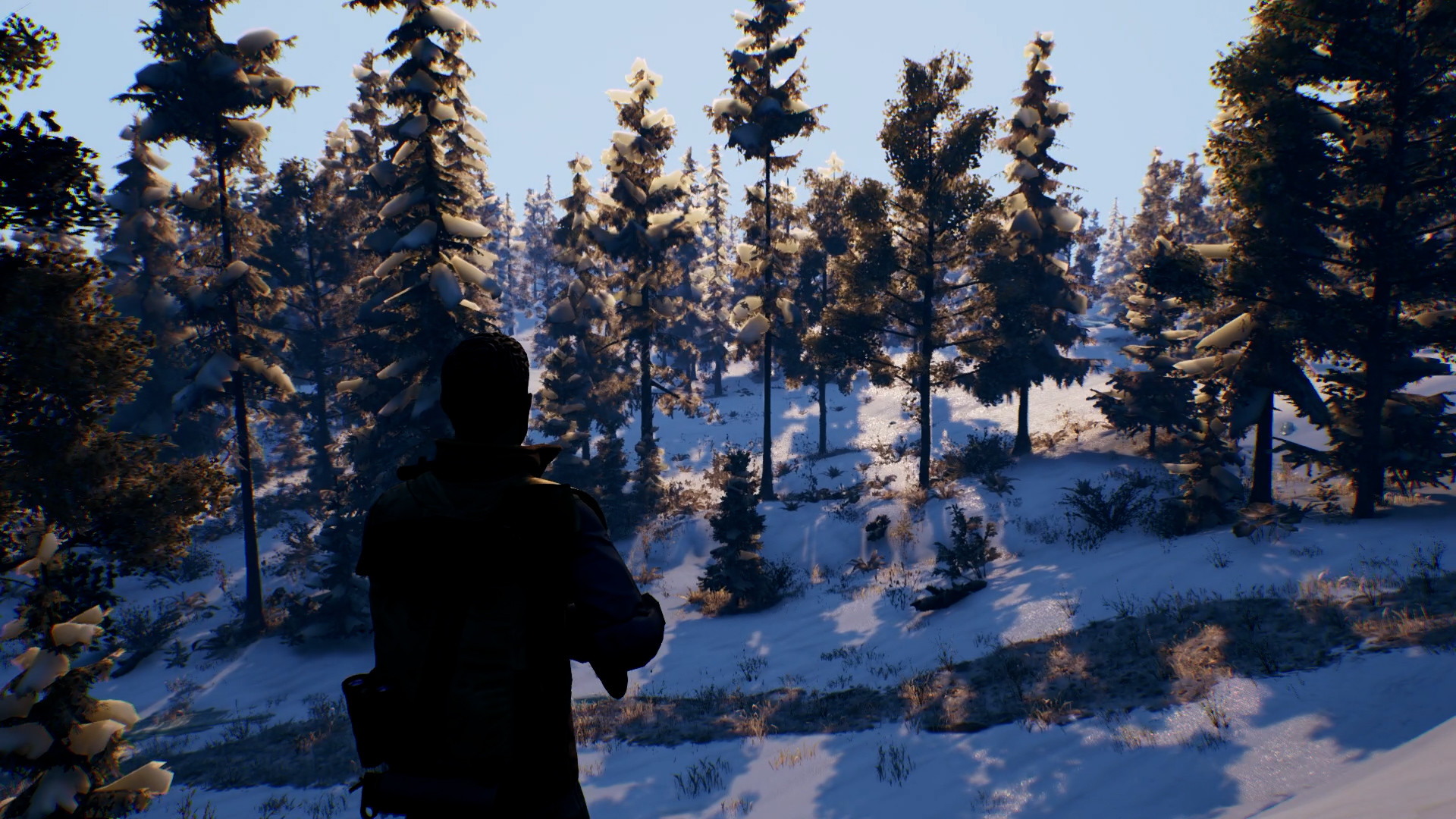 Open Country - screenshot 3