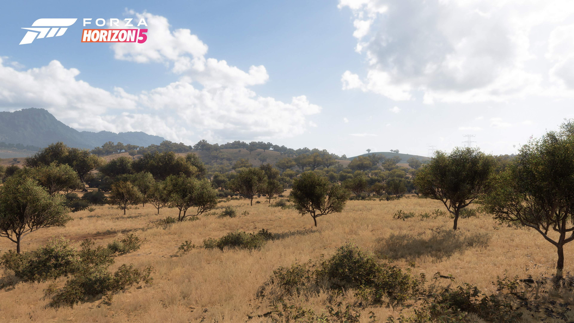 Forza Horizon 5 - screenshot 23