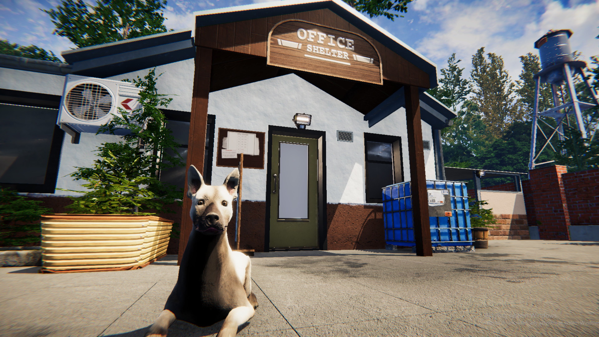 Animal Shelter - screenshot 8