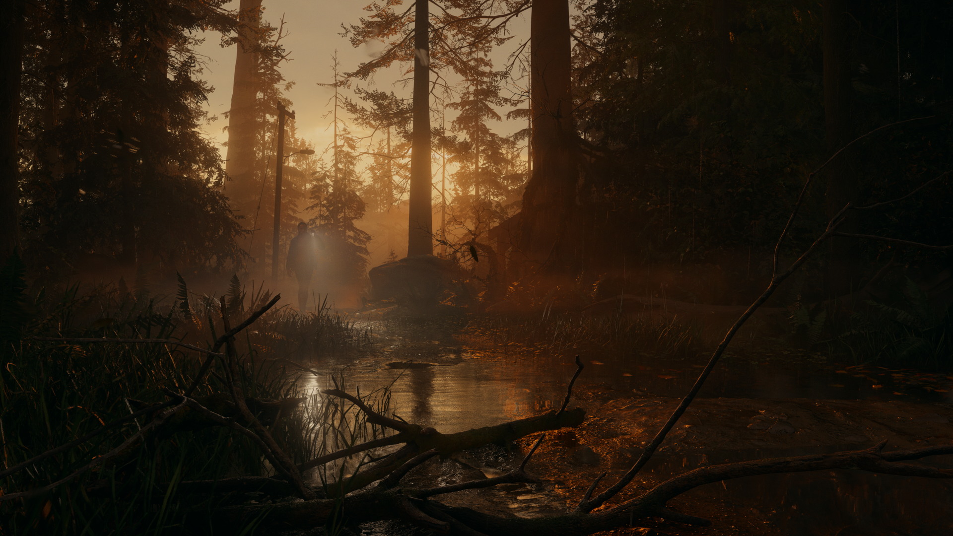 Alan Wake II - screenshot 18