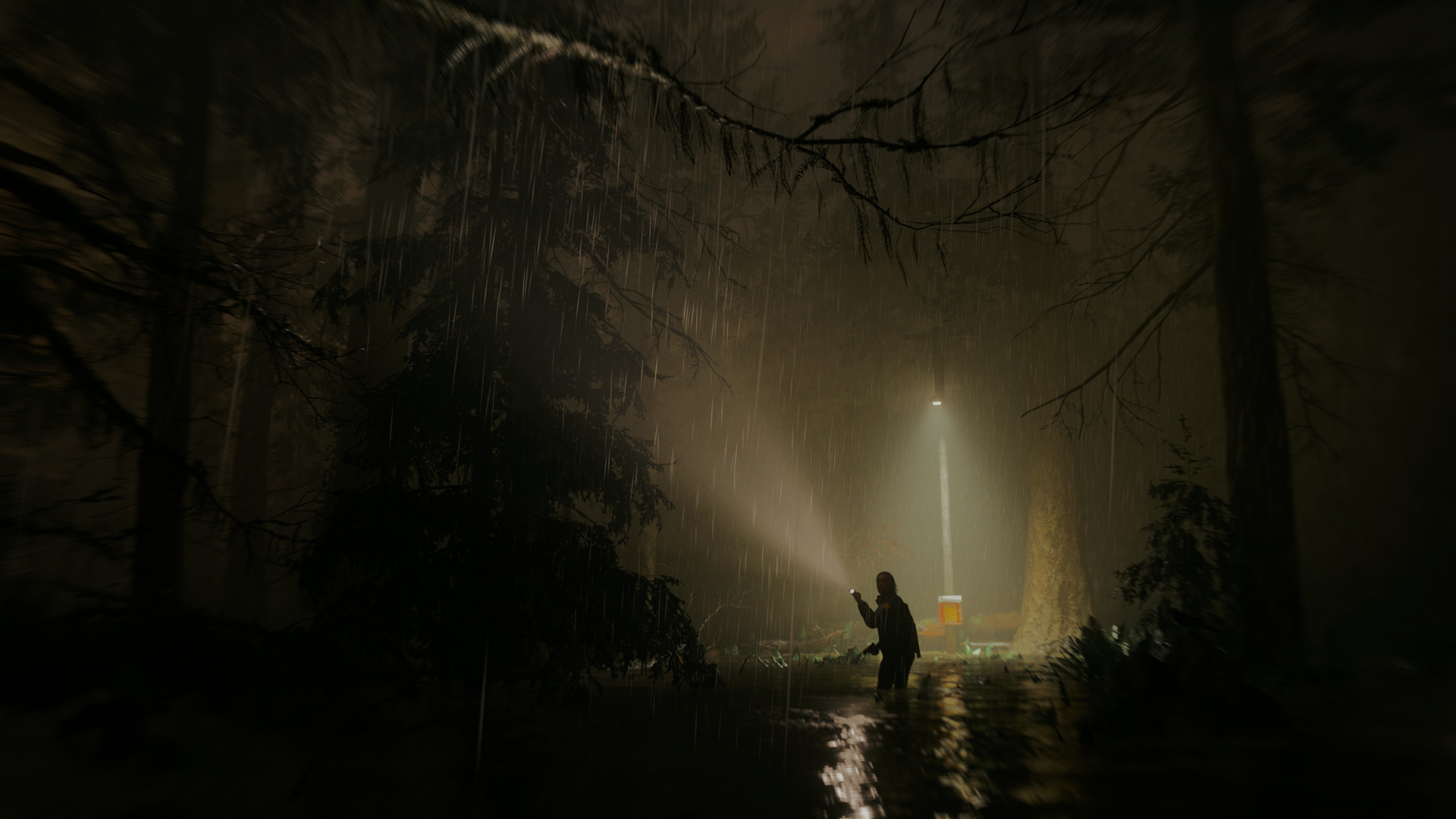 Alan Wake II - screenshot 3